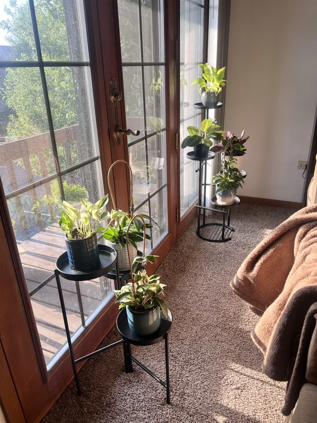 Add Natural Elements