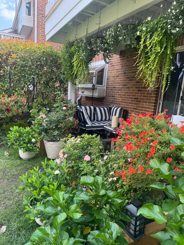 Bring in Colorful Planters