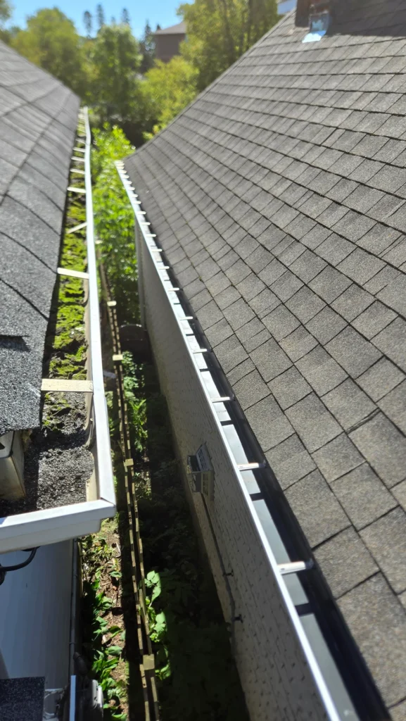 Clean the Roofline Gutters and Edges