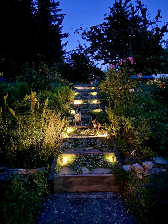 Create a Cozy Lighting Scheme