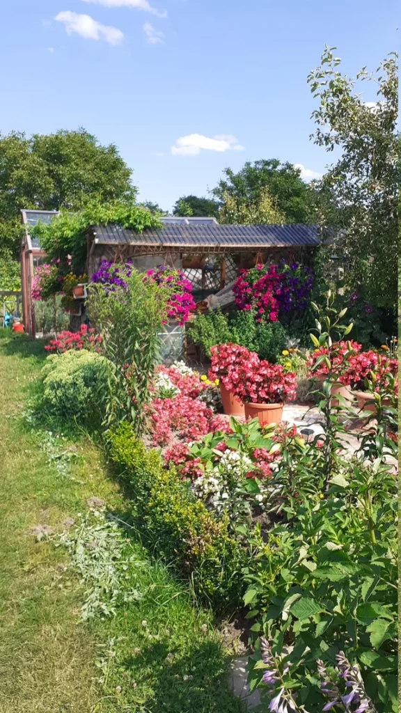 Embrace Seasonal Flowers and Plants