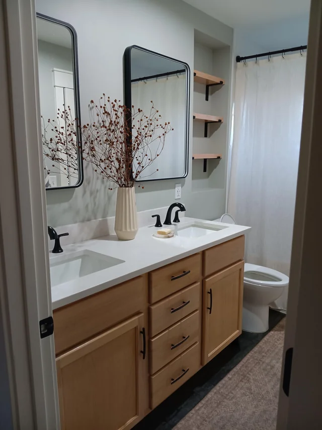 Make Use of the Space Above the Toilet