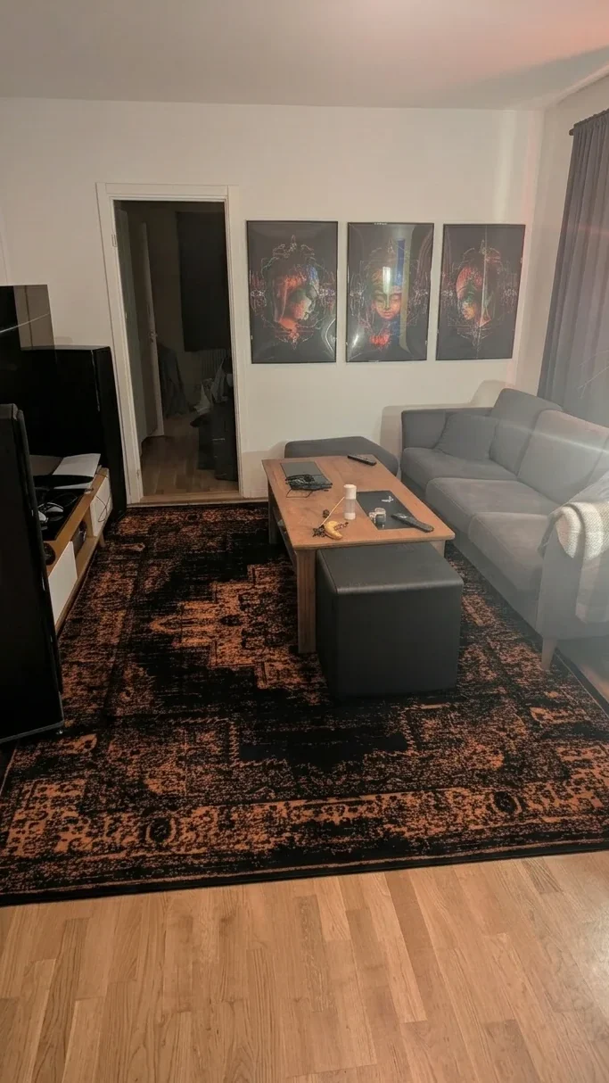 black rug living room layout ideas
