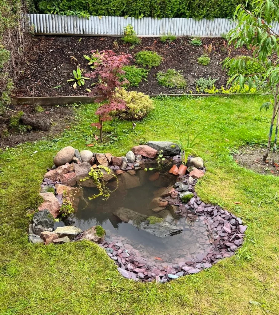 natural rock garden pond real backyard
