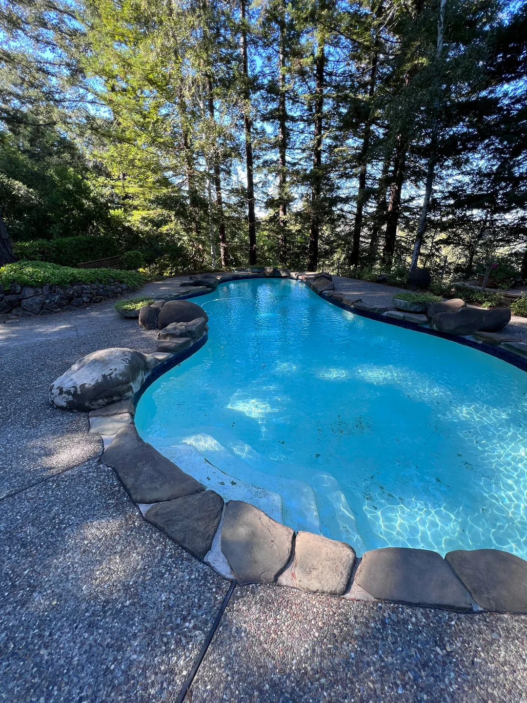 irregular pool backyard landscaping
