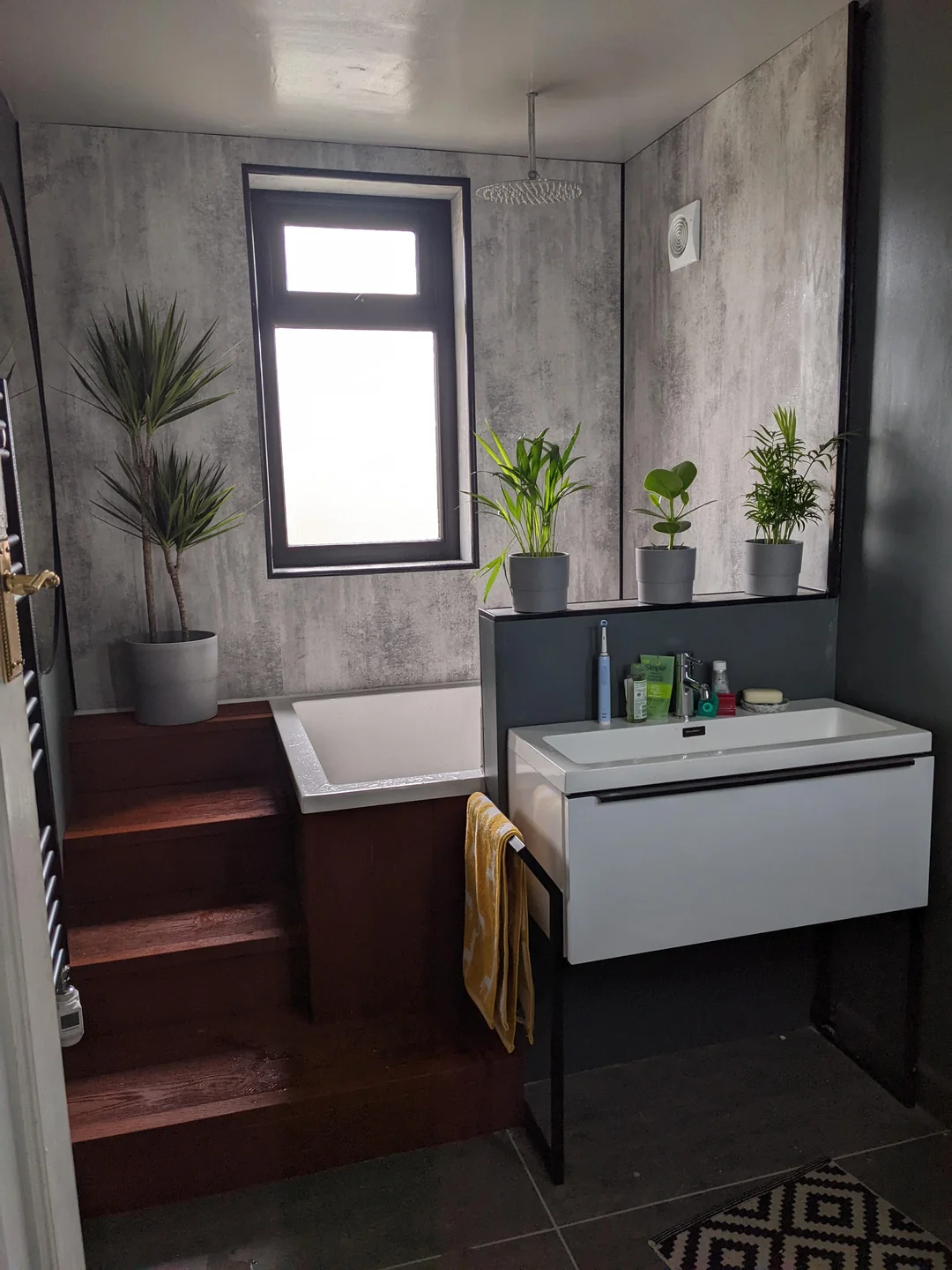 plant on bathroom vanity