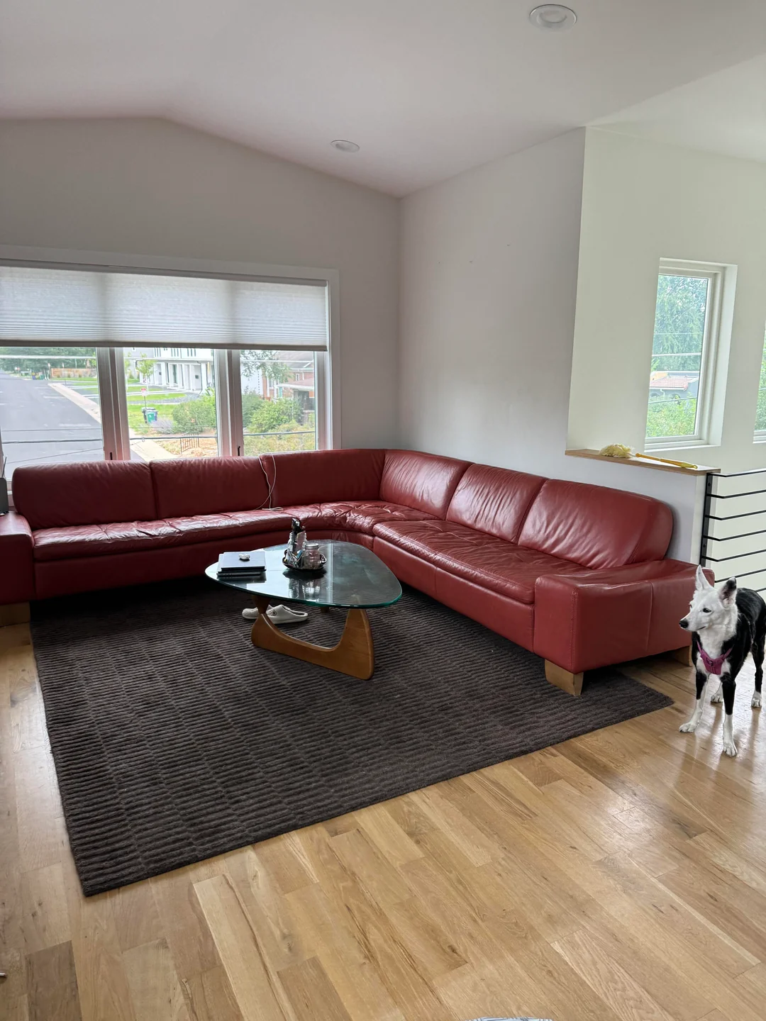 modern leather sofa living room
