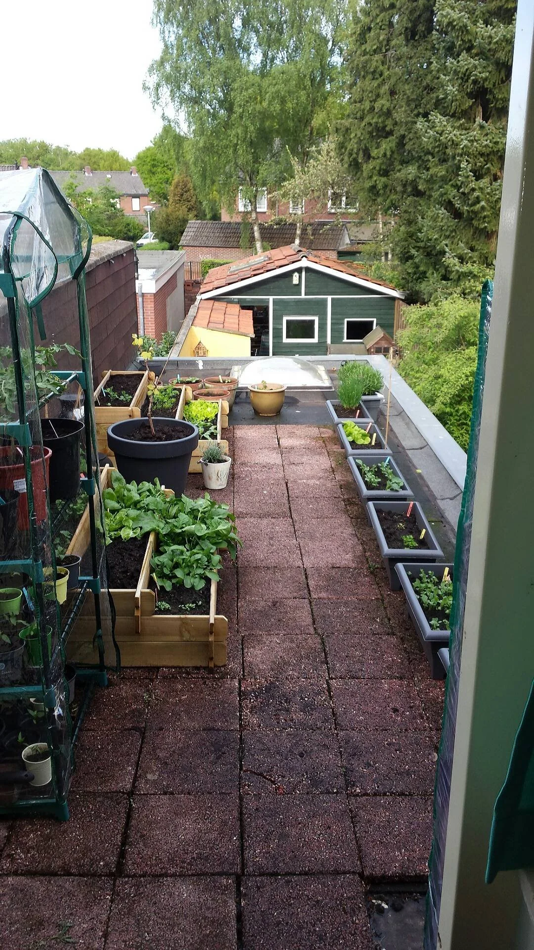 terrace garden ideas
