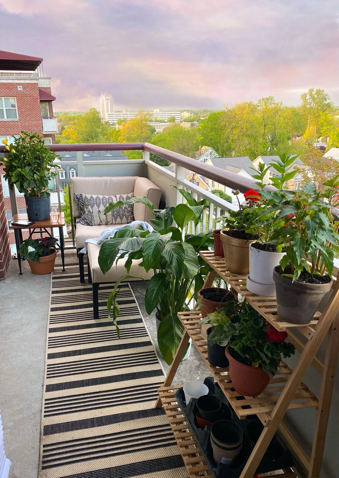 terrace plants ideas