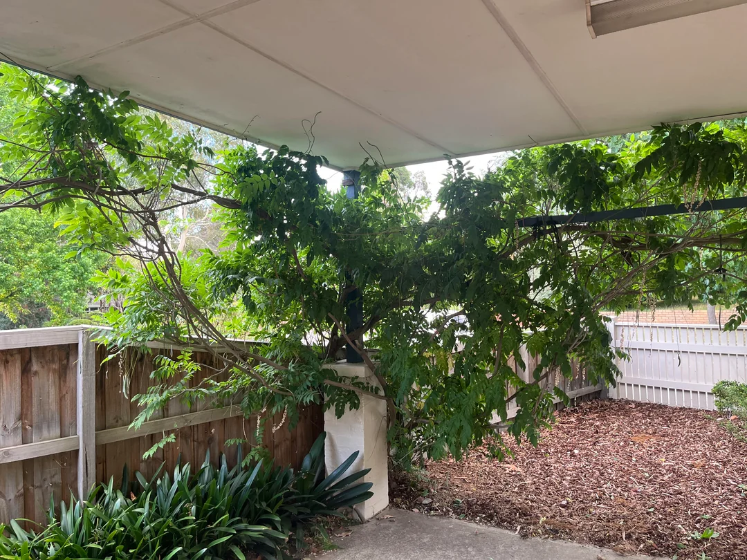 carport with shrubs neat exterior design