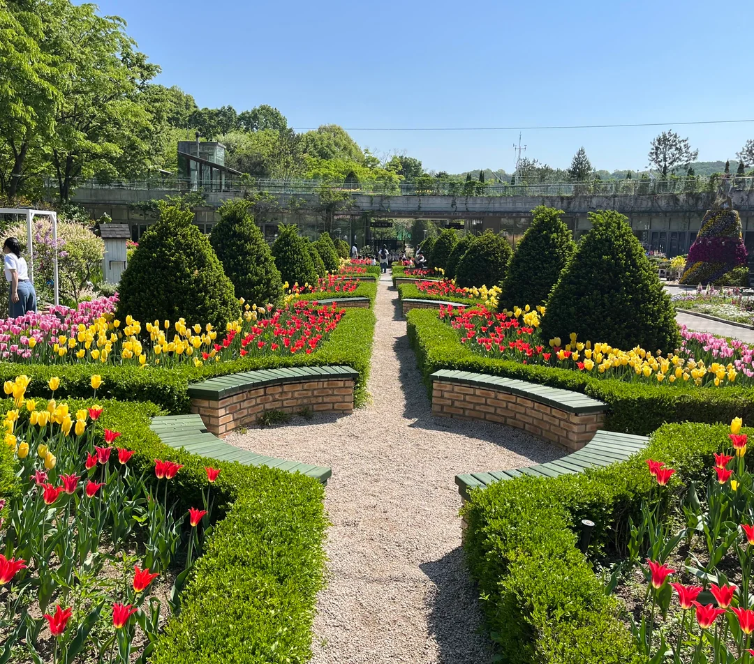 formal flower garden symmetry design
