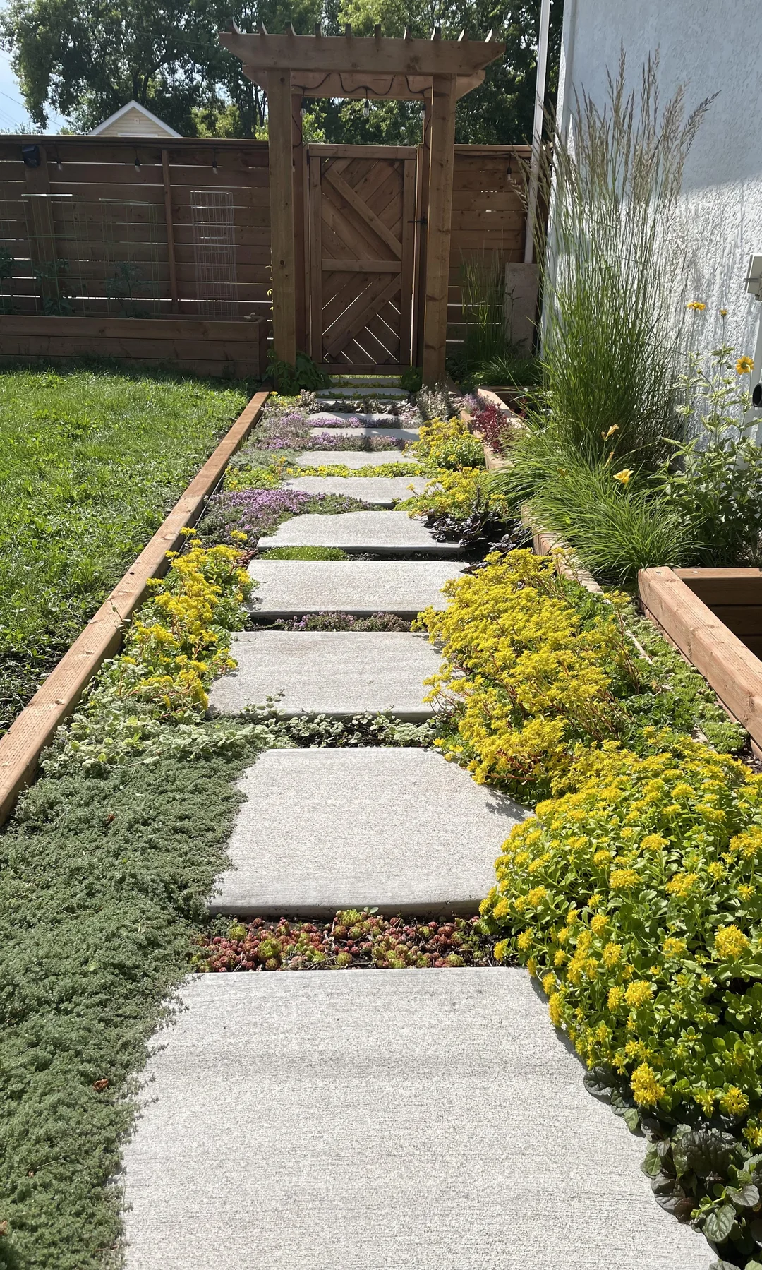 garden path with flowers both sides
