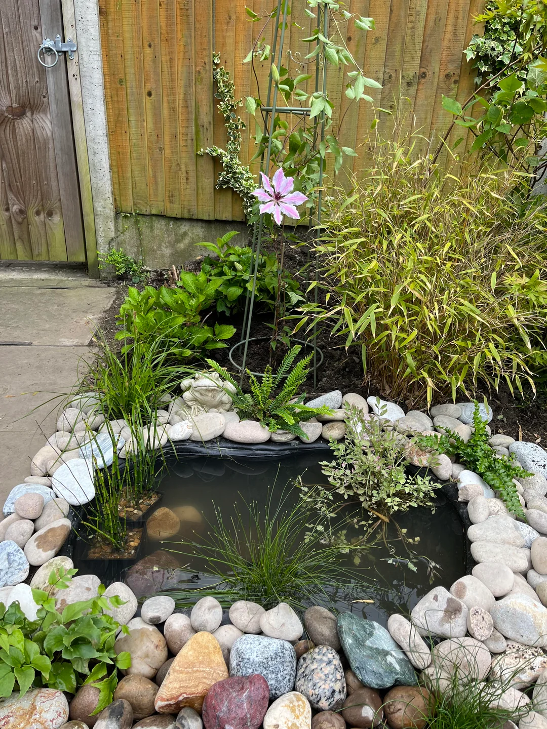 garden pond with flowers around
