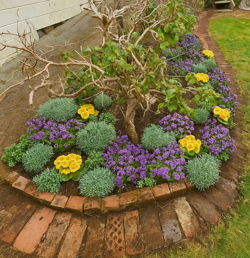 contrast plants flower garden

