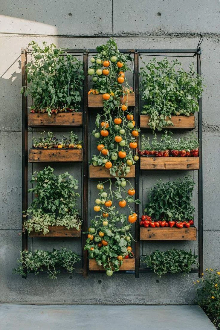 vertical flower garden wall ideas
