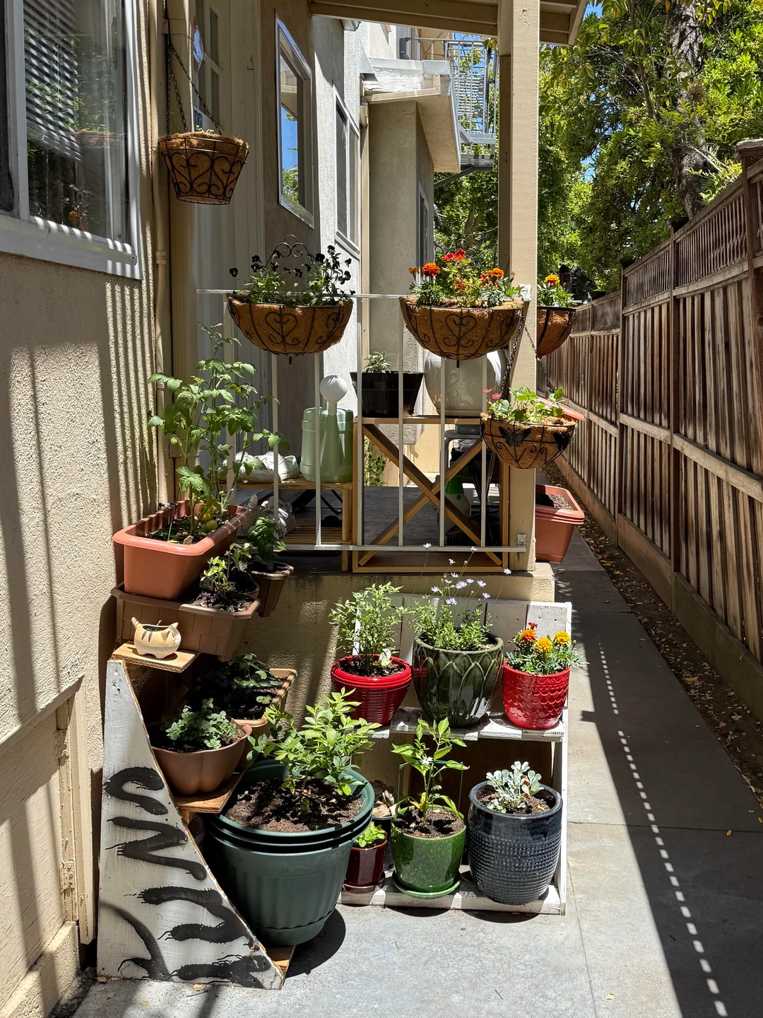 container flower garden patio ideas
