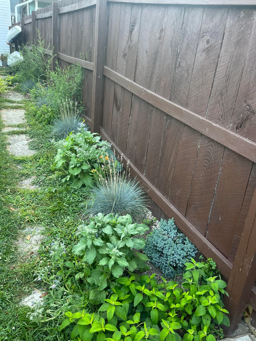 backyard tall fence with plants inside
