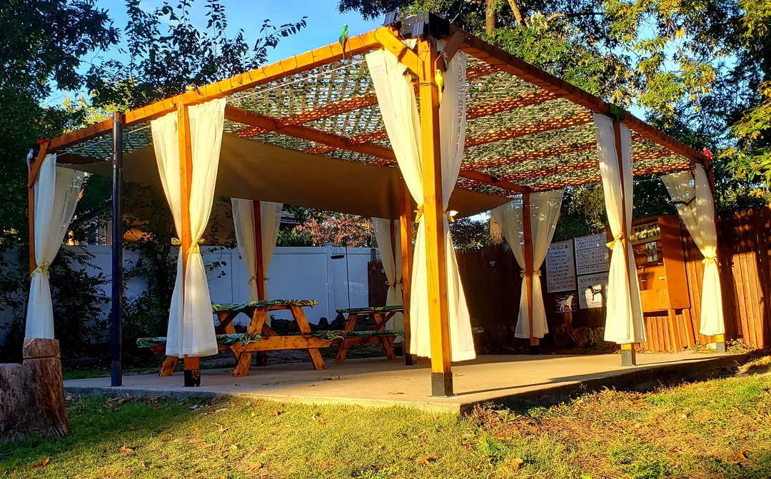 pergola with curtains backyard