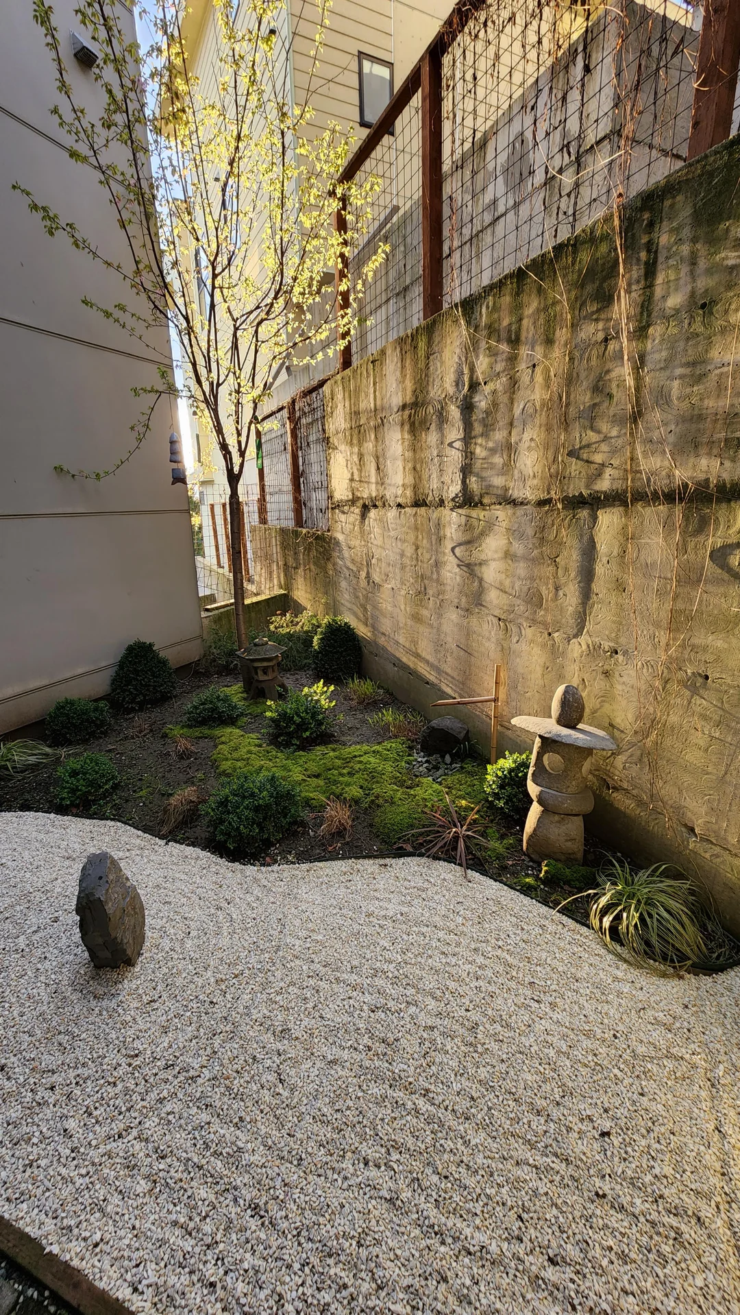small zen garden corner backyard
