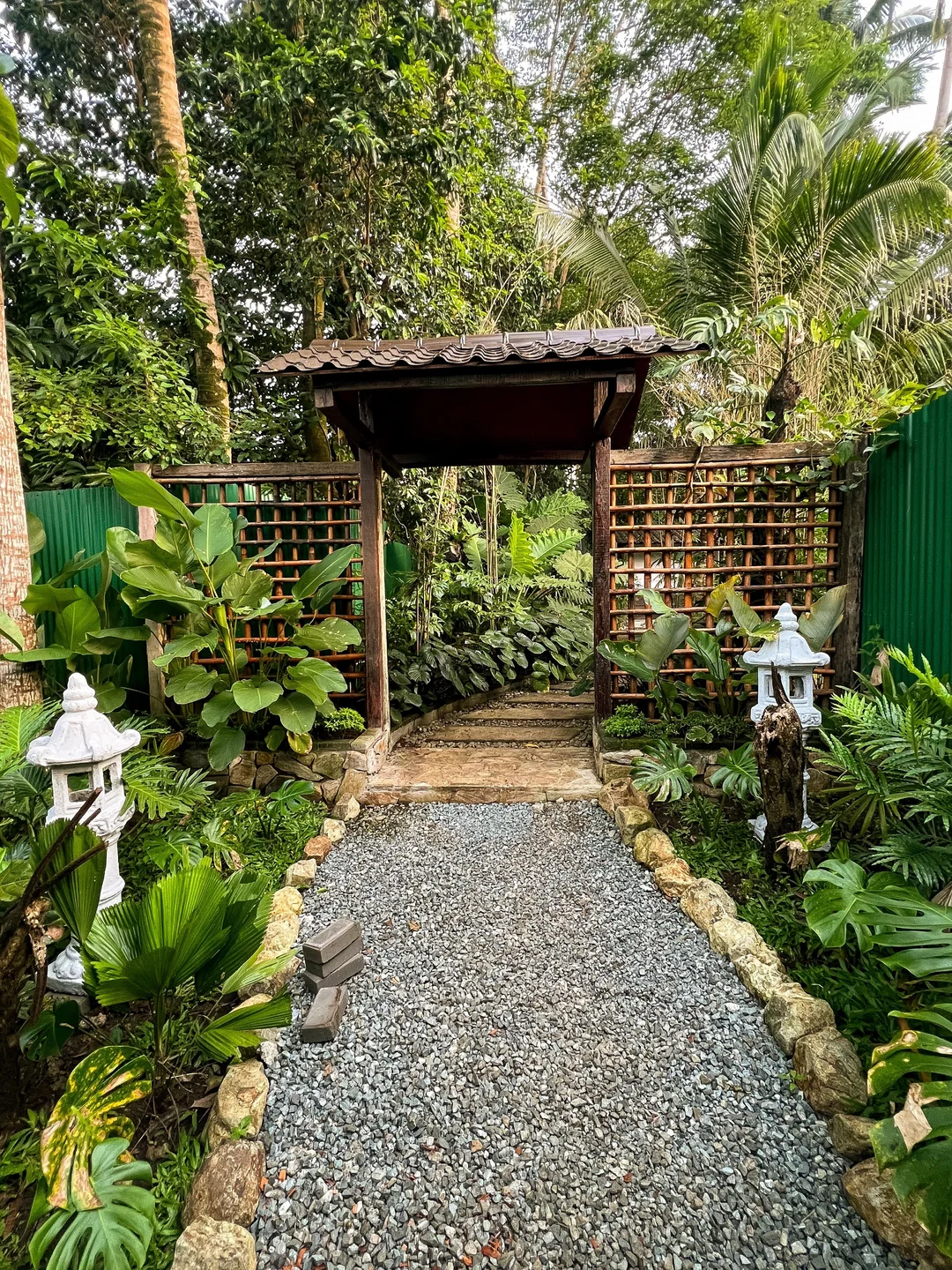 bamboo fence backyard zen garden
