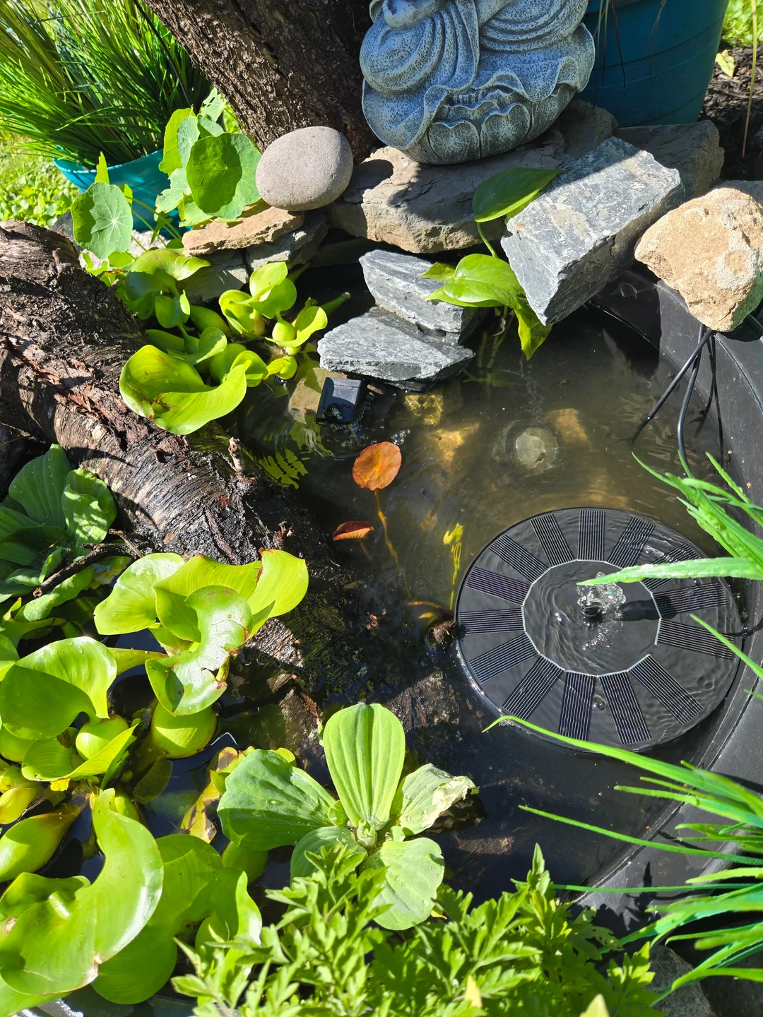 zen garden small water fountain backyard
