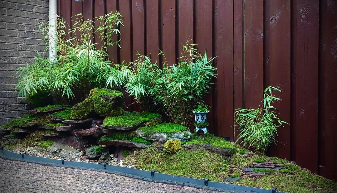 moss garden backyard zen style
