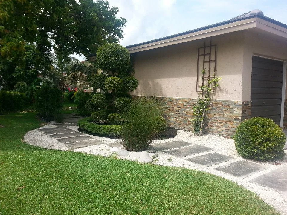 zen garden minimal plants green only
