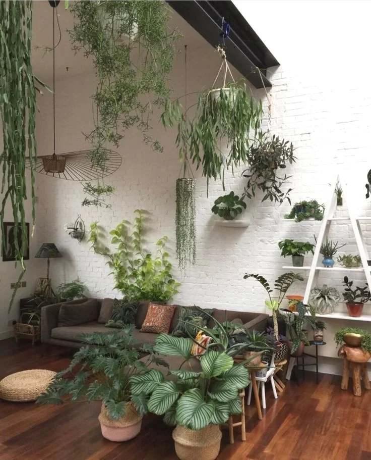 potted plants inside and outside same style
