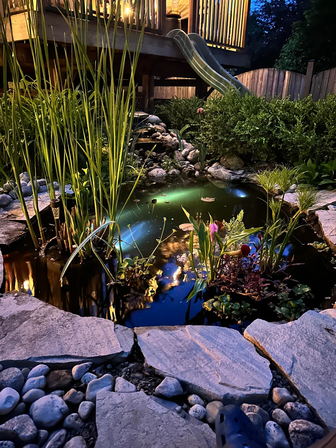 pond lighting backyard night reflection
