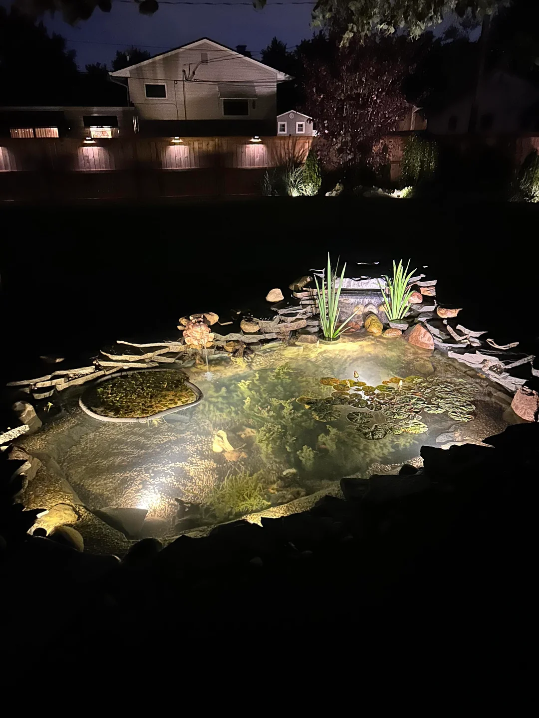 pond lighting night backyard water feature
