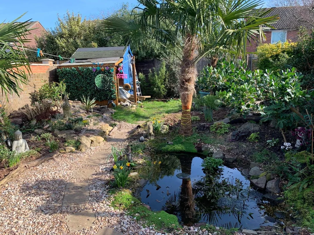 calm pond reflection landscaping ideas
