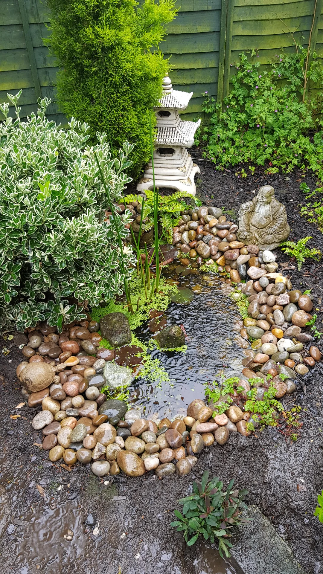 japanese style pond simple design