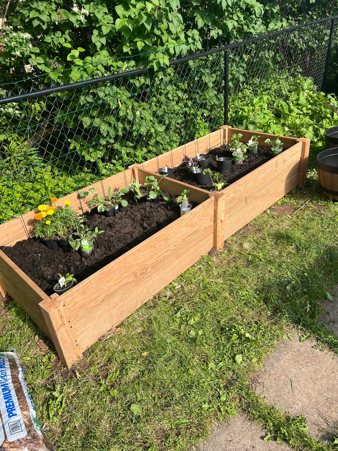 raised garden beds vegetables backyard DIY
