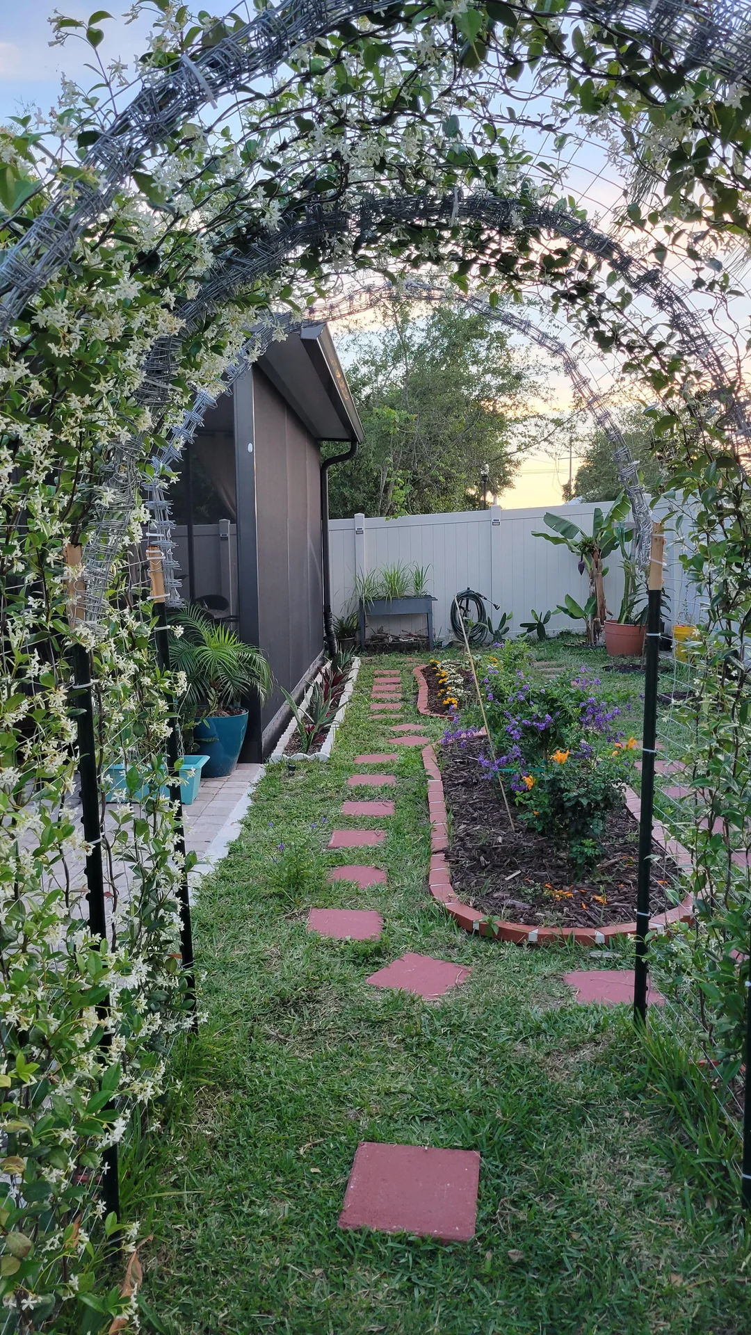 jasmine garden backyard fragrant plants setup
