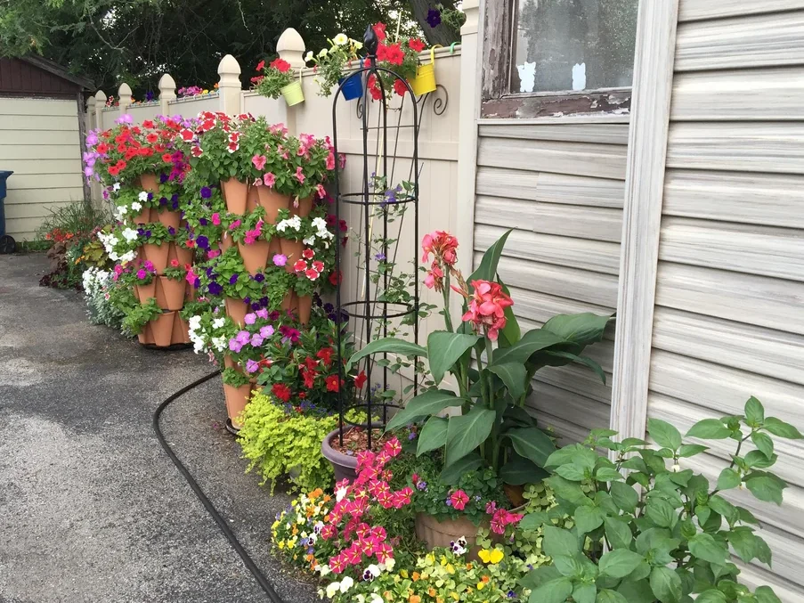 container gardening patio plants pots arrangement
